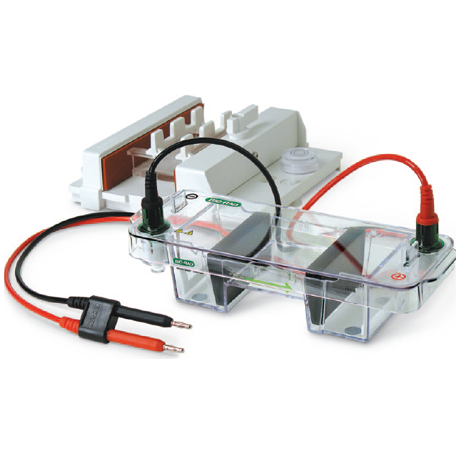  電泳儀：品牌伯樂，天能